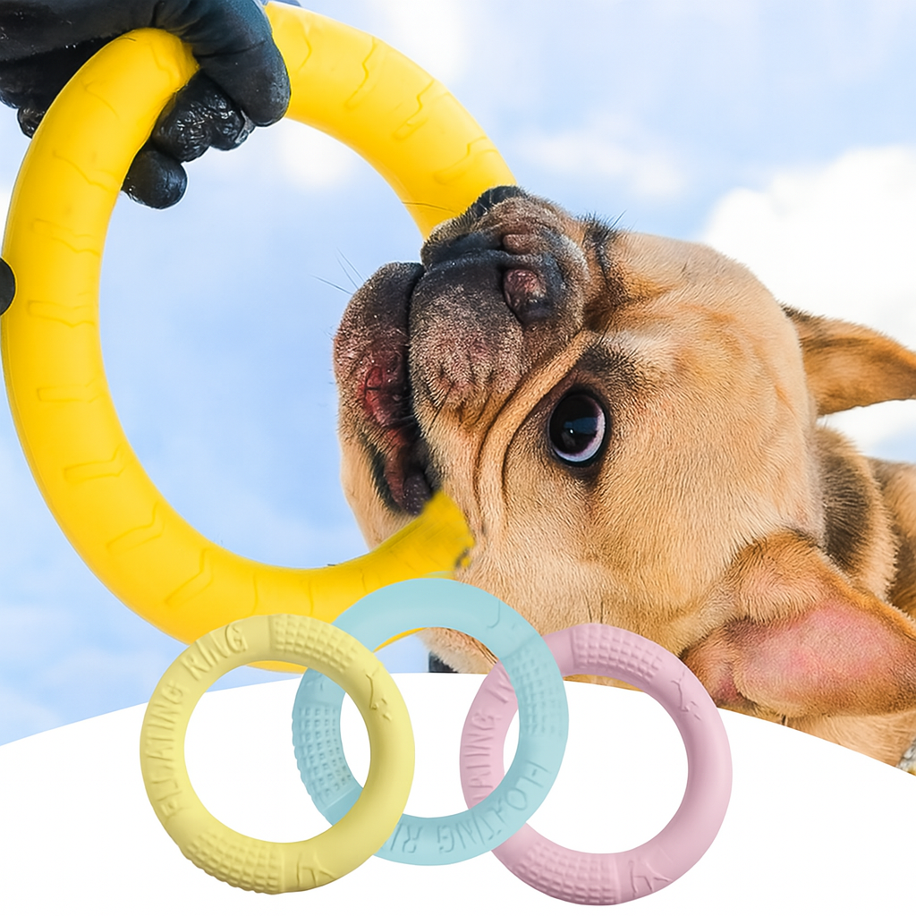 Flyringo Frenchie Ring Toy – Flying Disk Chew Toys