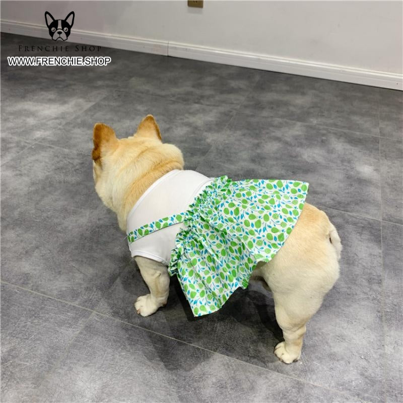 French Bulldog Frenchie Summer Dress Floral Design (w308) Durable Dog Item