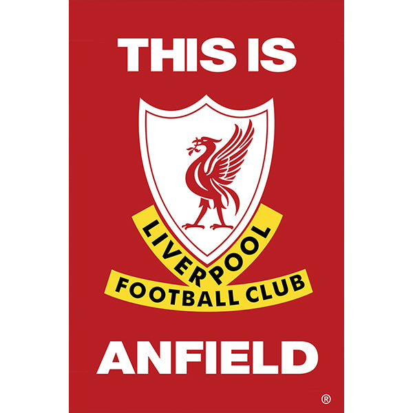 Liverpool Poster 2025-2026 UCL Home Jersey – Authentic Shirt