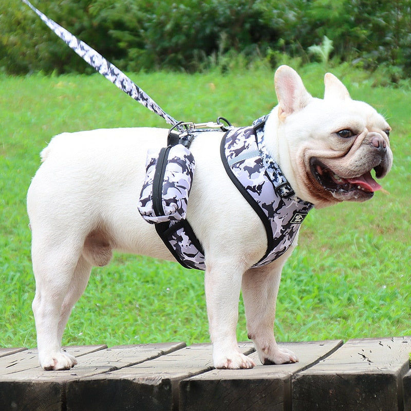 French Bulldog Fily Petz™ Adjustable French Bulldog Harness Set (ws991) Practical Dog Gear