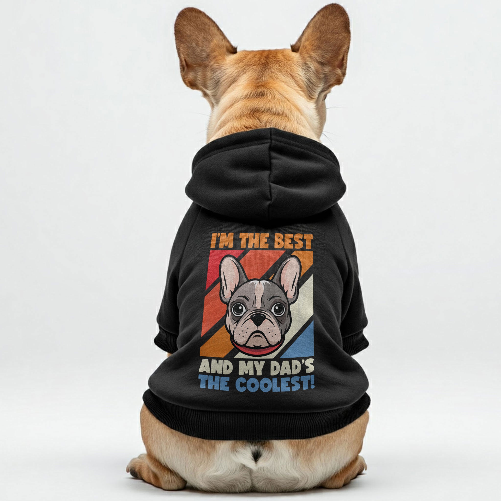 I’M THE BEST, AND MY DAD’S THE COOLEST! - Personalized French Bulldog Hoodies with Funny Quotes – Stylish, Cozy, and Premium 100% Cotton
