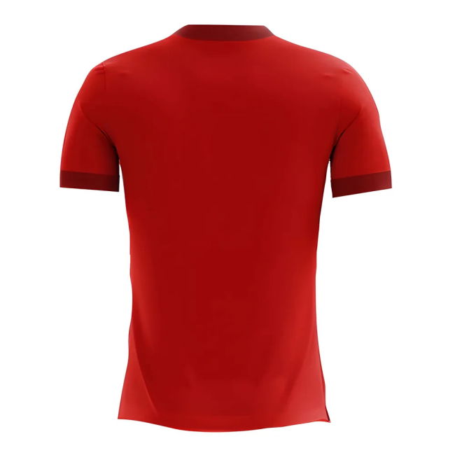 Collector'S-Item Top-Tier 2025-2026 Egypt Home Concept Football Shirt