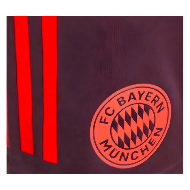 2024-2025 Shorts by Bayern Munich Training (Youth