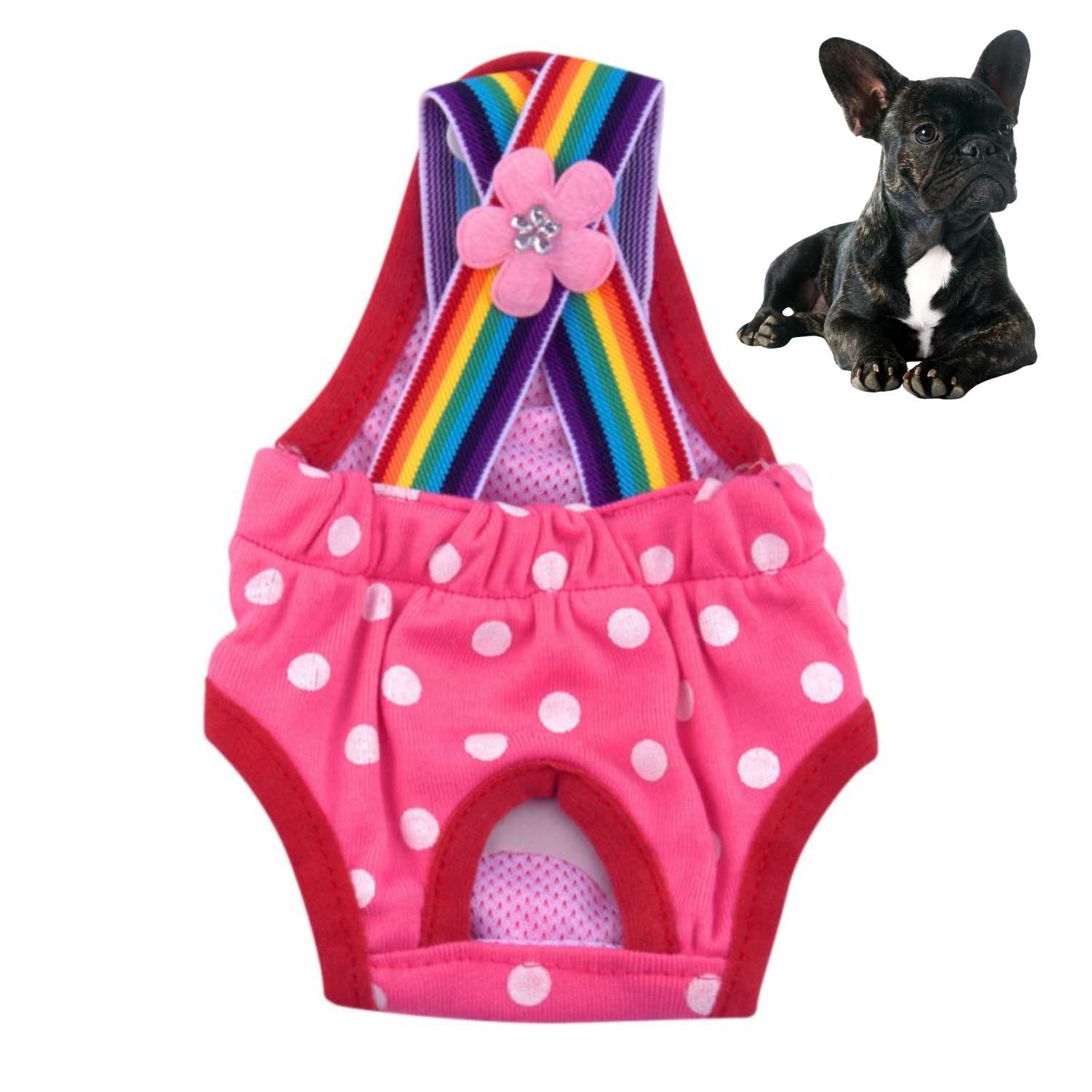 Eco-Friendly Washable Frenchie Diapers for Heat Cycles