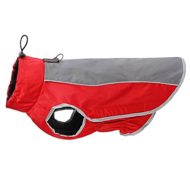 French Bulldog Reflective Jacket For Frenchie (cs021) Warm Dog Outfit