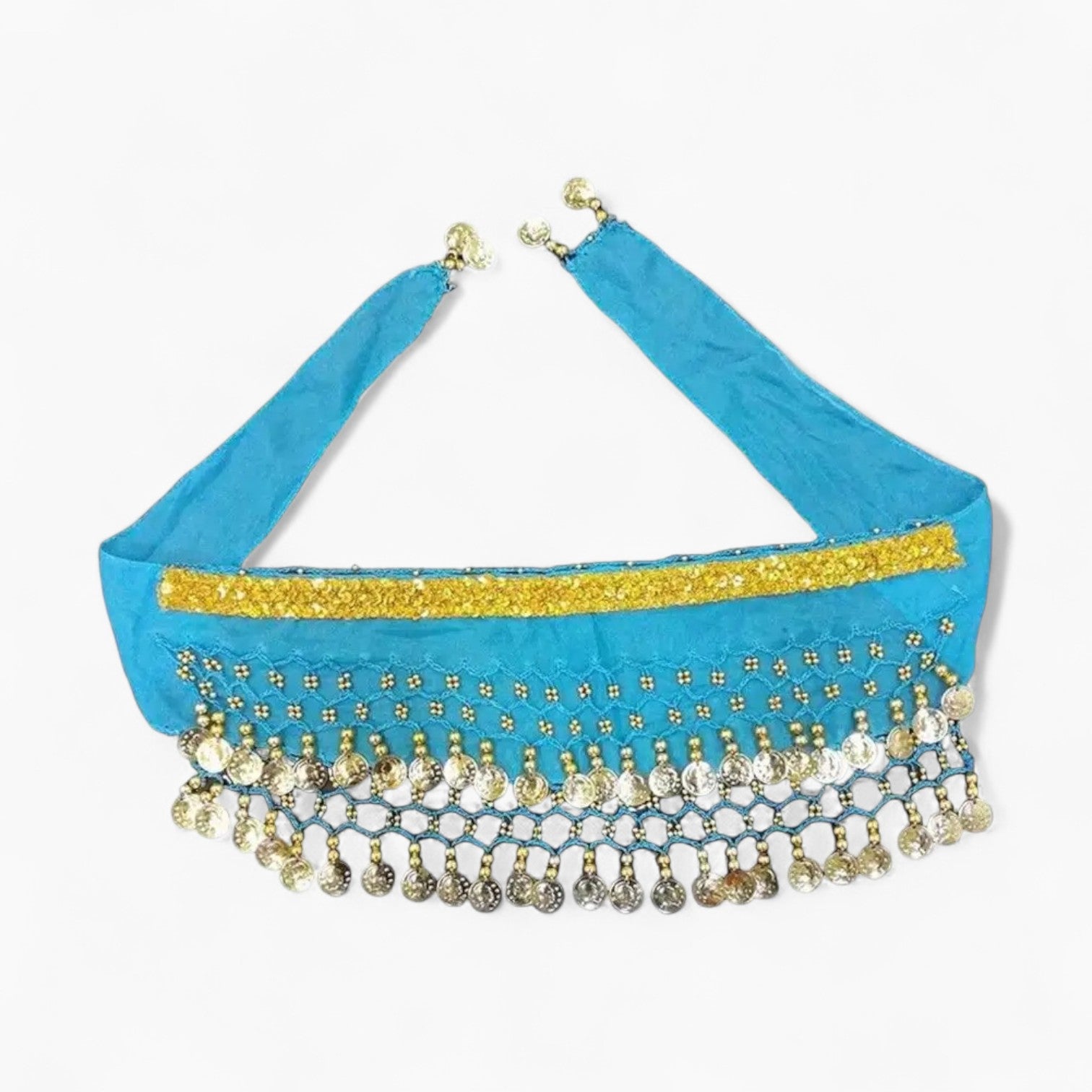 Sequin Butt Curtain Waist Chain Clothes Paw Protection | Breed-optimized