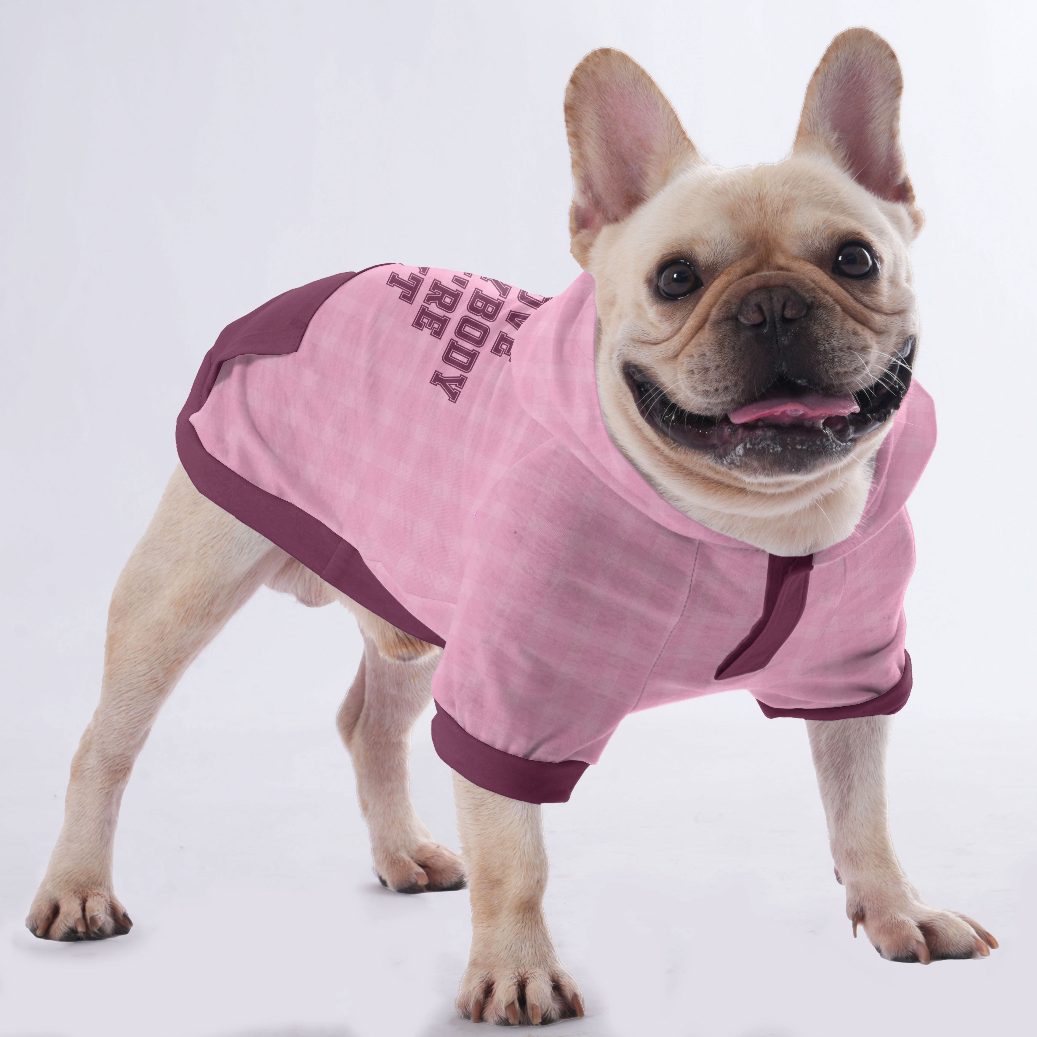 Stylish Ames - Hoodies For French Bulldog | Frenchie Shop Original fo...