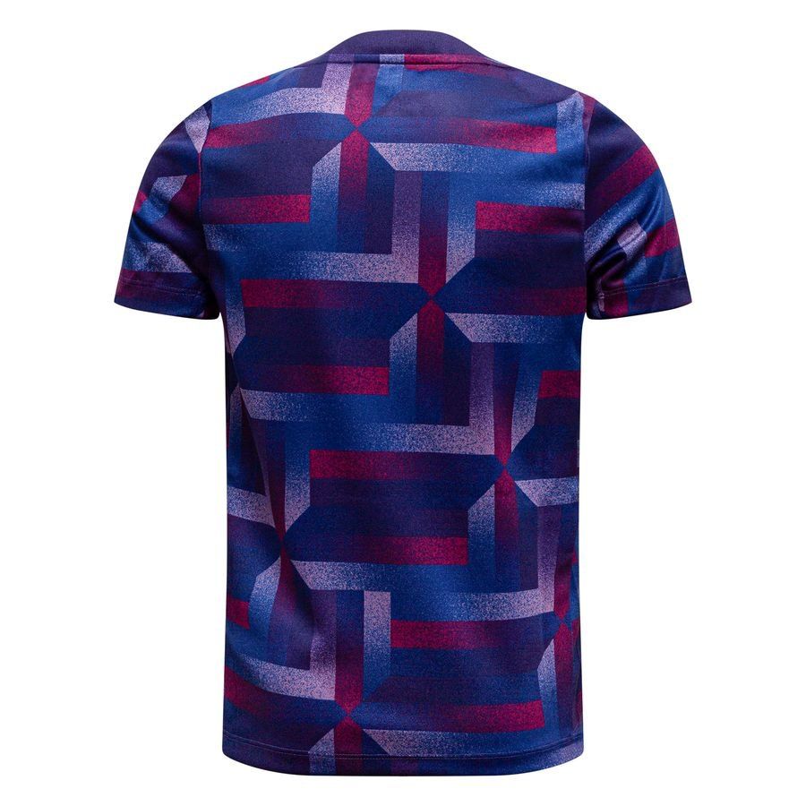 England Training T Shirt Dri Fit Academy Pro Pre Match Purple Ink/sesa