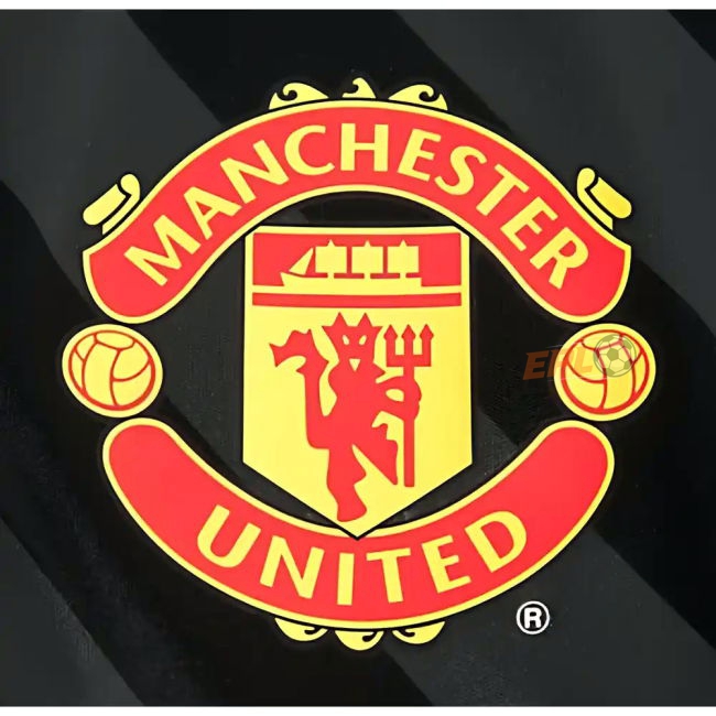 Man Utd 2012-13 budget-friendly Third Soccer Jersey