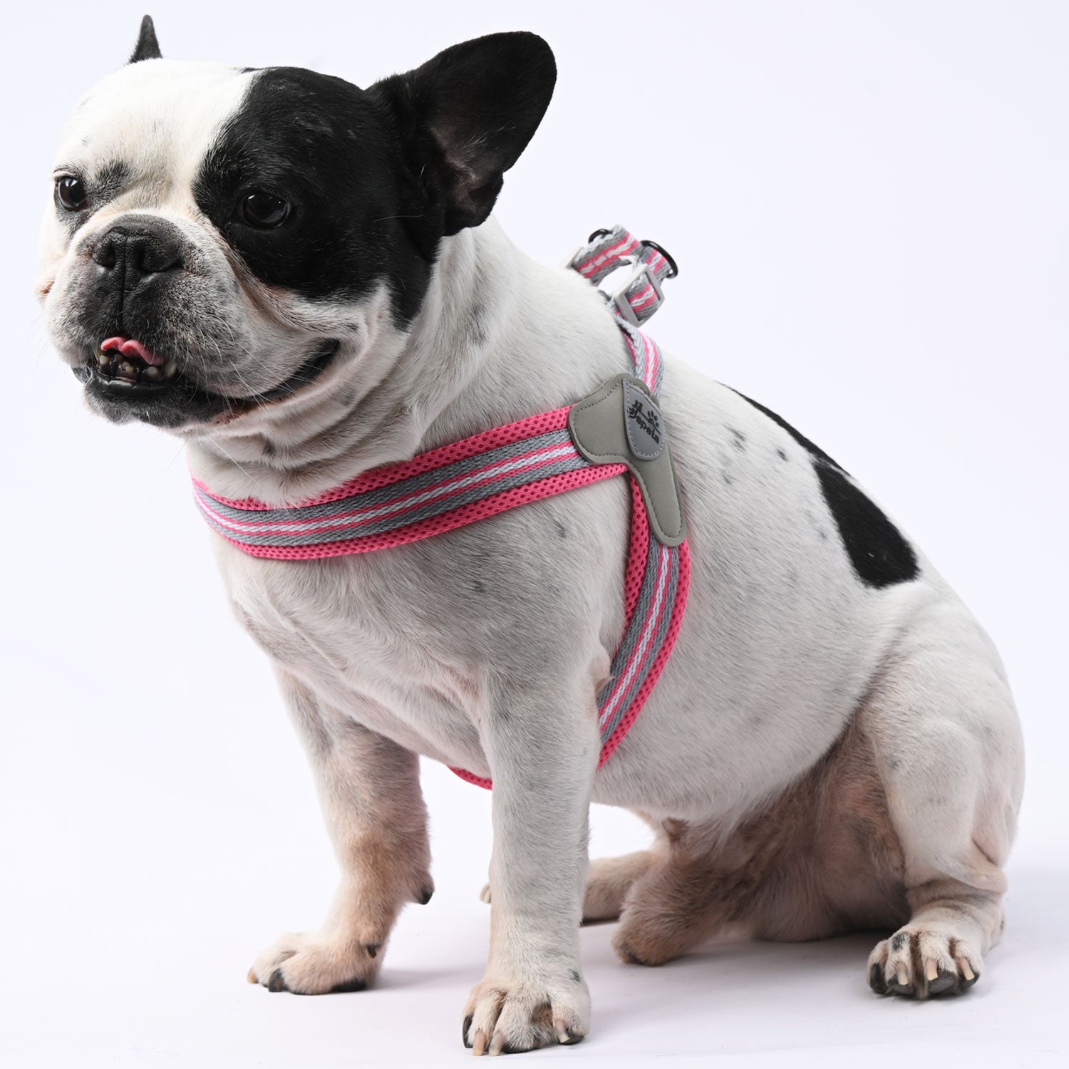 LeashLock No-Pull Frenchie Harness with Leash