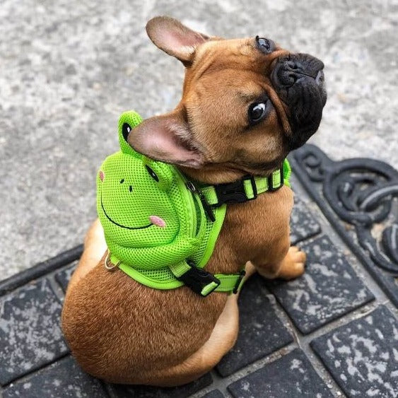 French Bulldog Backpack Harness Set