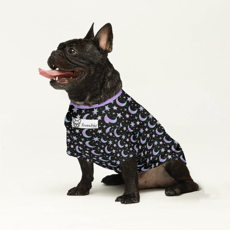 French Bulldog Knox Wool Sweater For Frenchies Comfy Pet Outfit