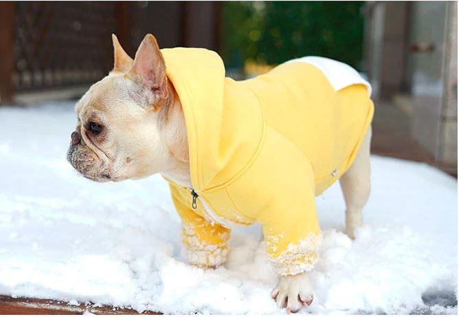 Frenchie-Fan Trendy Warm Hoodie For Frenchies (cs6) for Daily Life