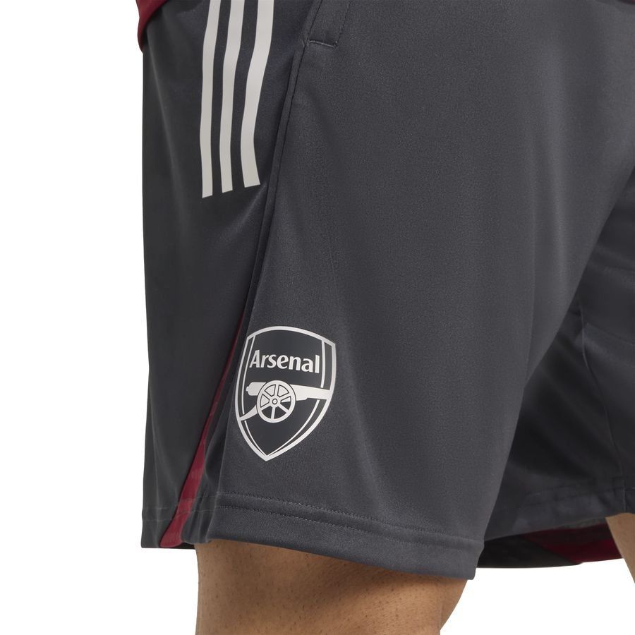 Arsenal Training Shorts Tiro 25 Eu Dark Grey/collegiate Burgundy