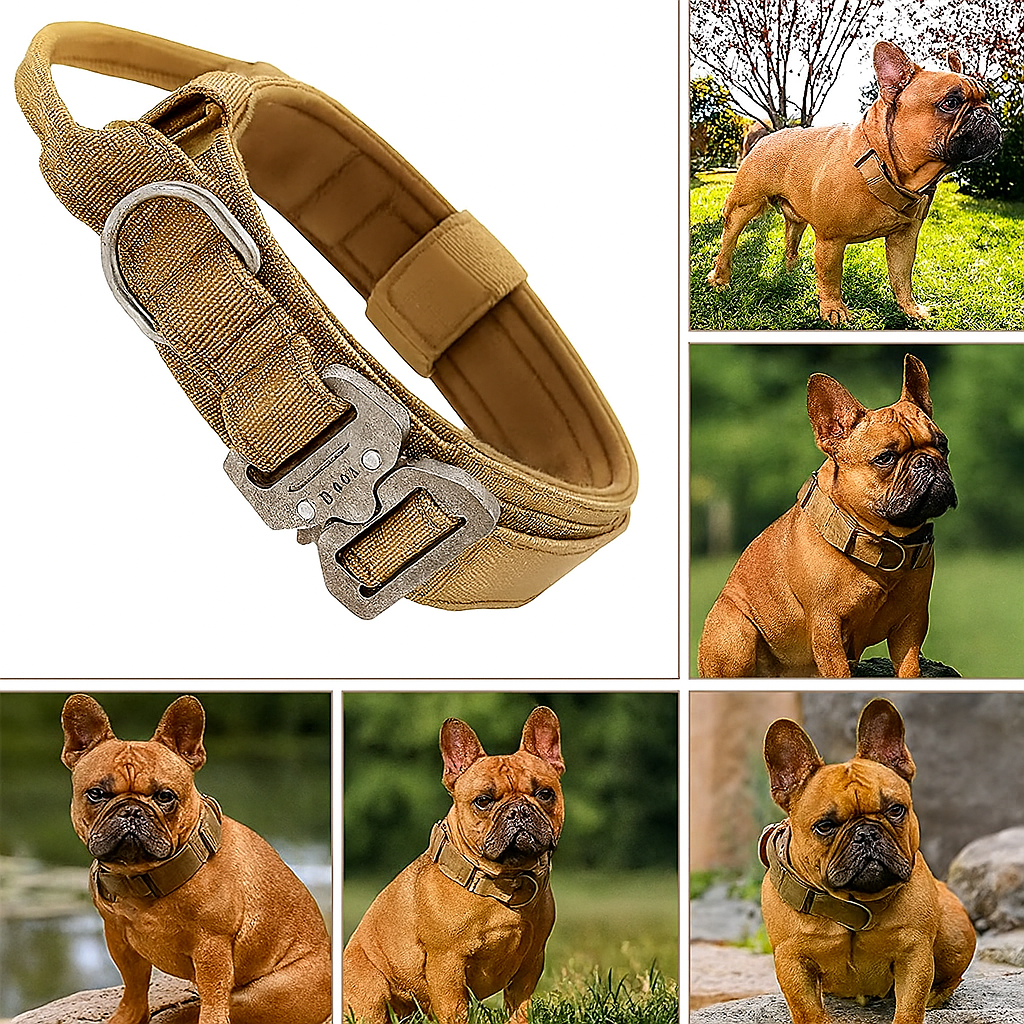 French Bulldog Barkops Tactical French Bulldog Collar – Adjustable