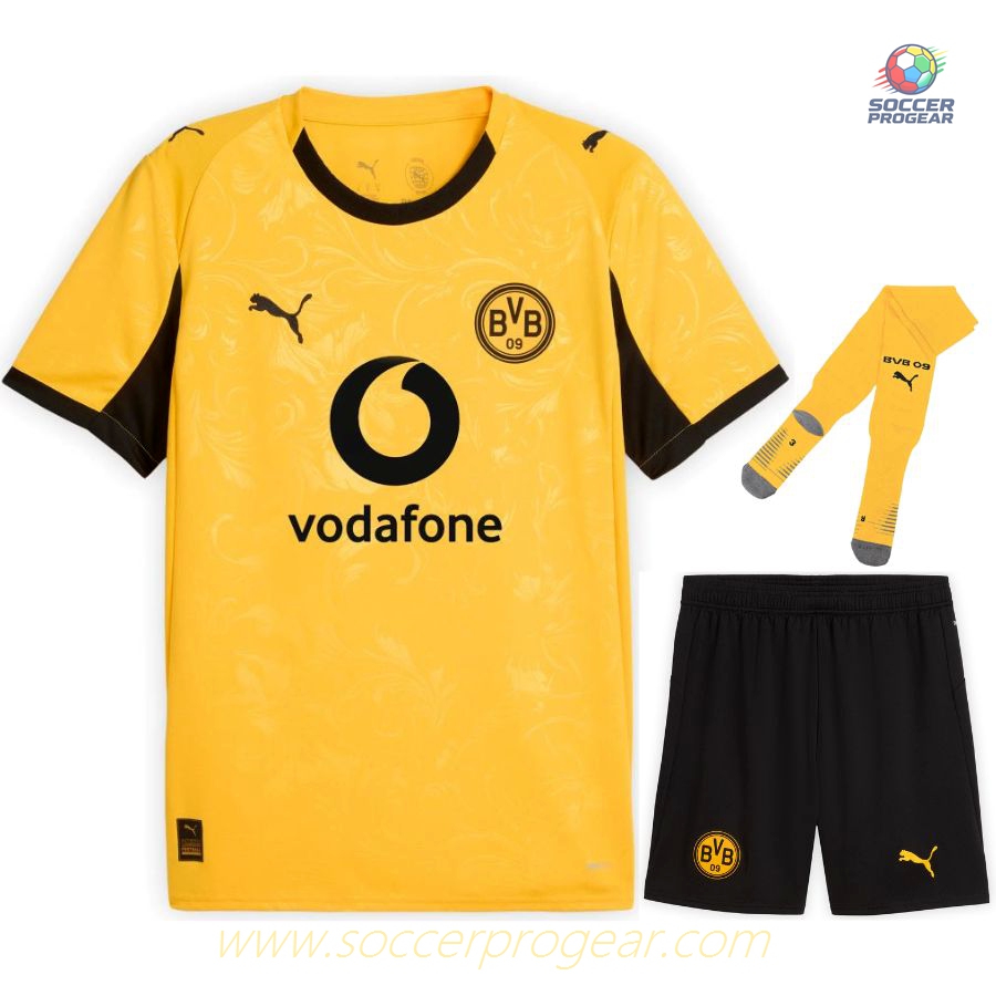 Dortmund 2025-26 Edition Cup Kids Edition Jersey Set Football Shirt