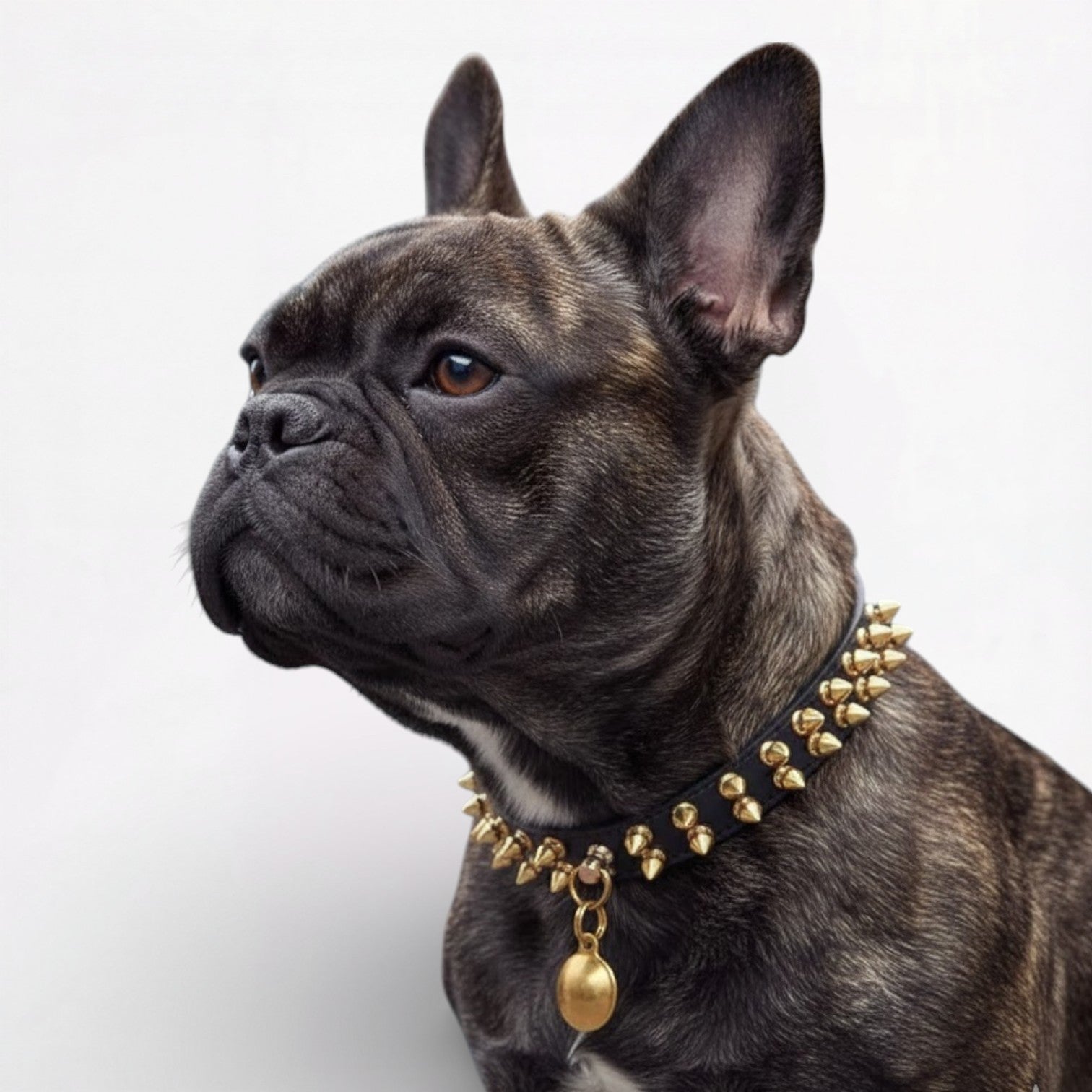 Soft Spikeforge French Bulldog Riveted Collar – Anti-bite Studded Lea...