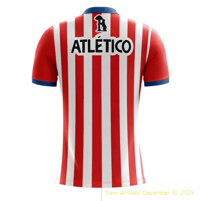 Shirt - Authentic Fan Edition - Authentic - Football Shirt