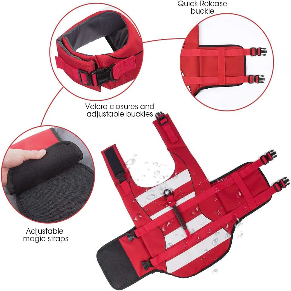 French Bulldog Frenchie Swim Safety Vest – High Visibility Life Jacket