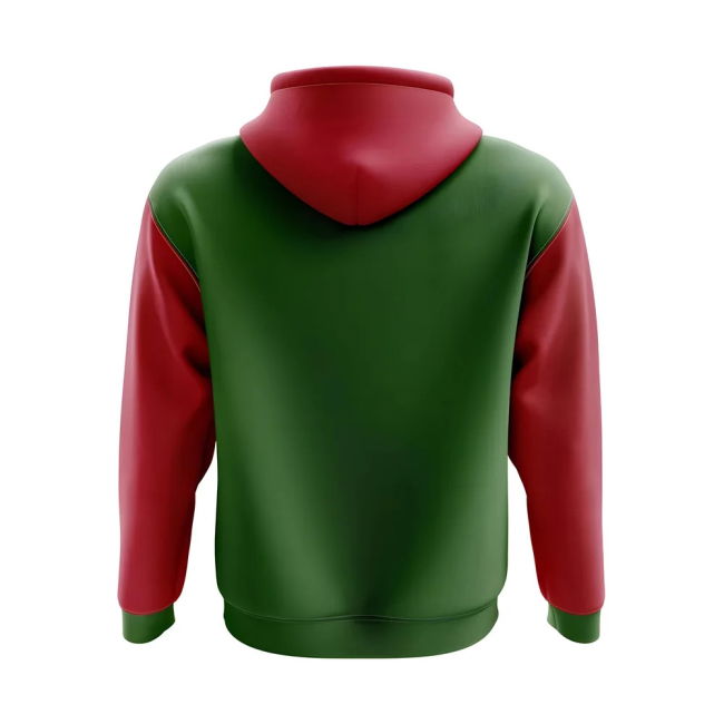 Elite Suriname Concept Country Football Hoody (Green) Limited-Edition