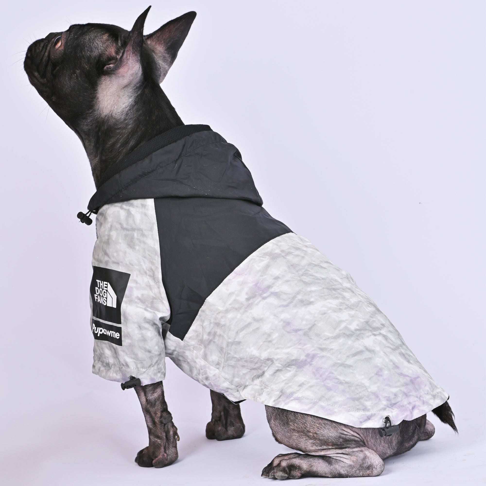 French Bulldog Petque™ Frenchie Trendy Raincoat (wl08) Comfy Pet Outfit