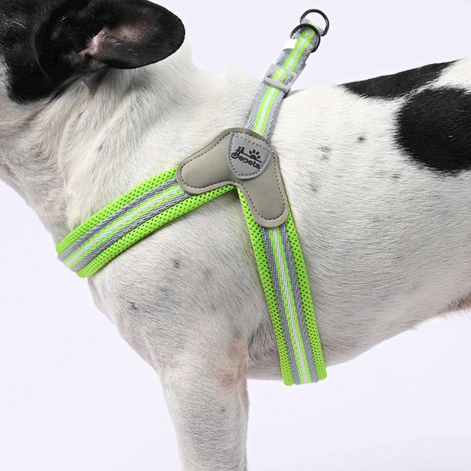 Durable Pawgrip No-pull Frenchie Harness With Leash for Indoor Use