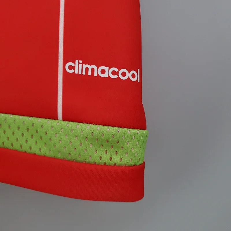 2015-2016 Wales Jersey retro kit