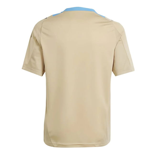 Championship 2024-2025 Argentina Training Jersey (Hazy Beige) - Kids