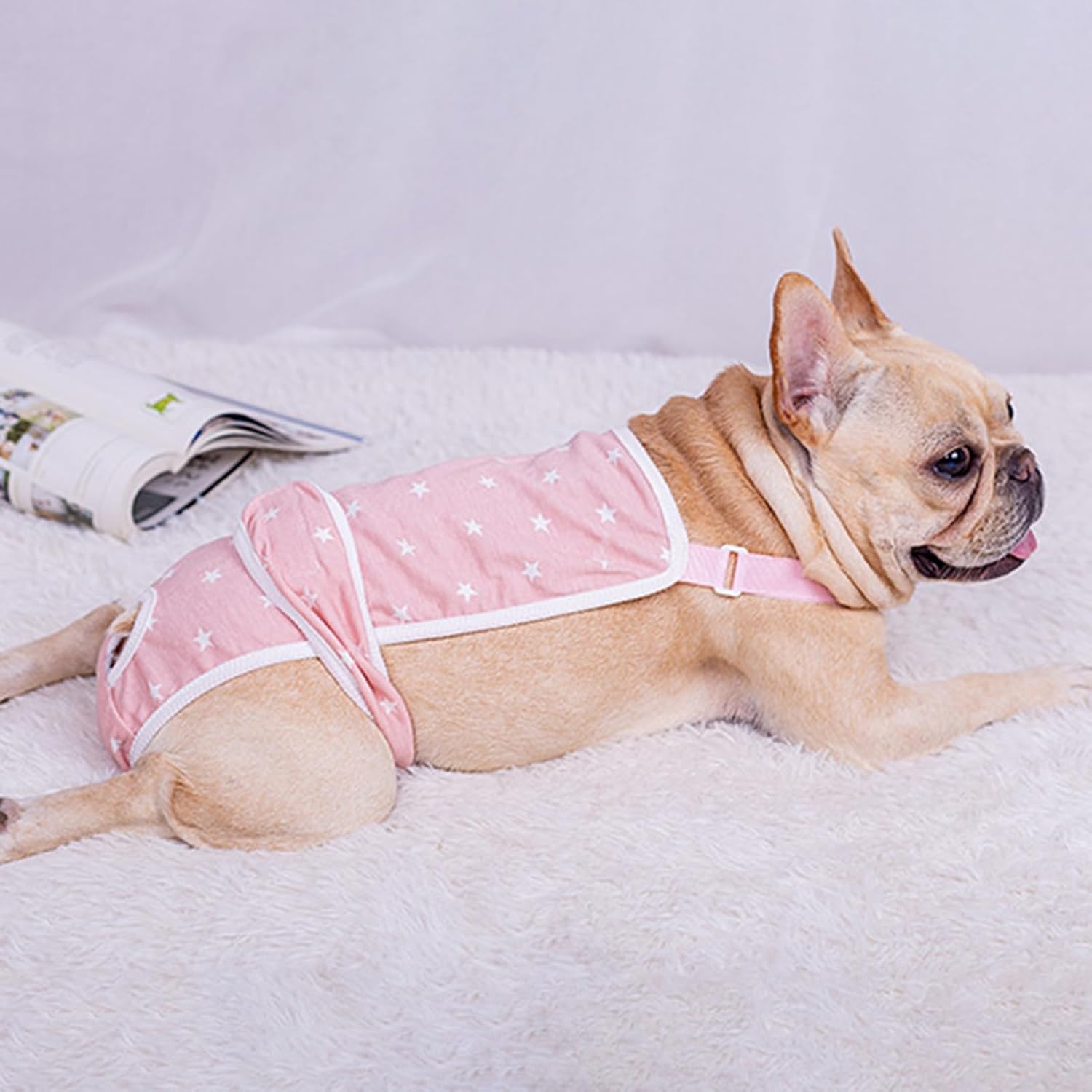 French Bulldog French Bulldog Shorts Diaper Pants Fashionable And
