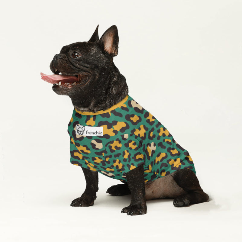 Cozy Pet-Lover Ezra - Wool Sweater For Frenchies for Pet Enthusiasts