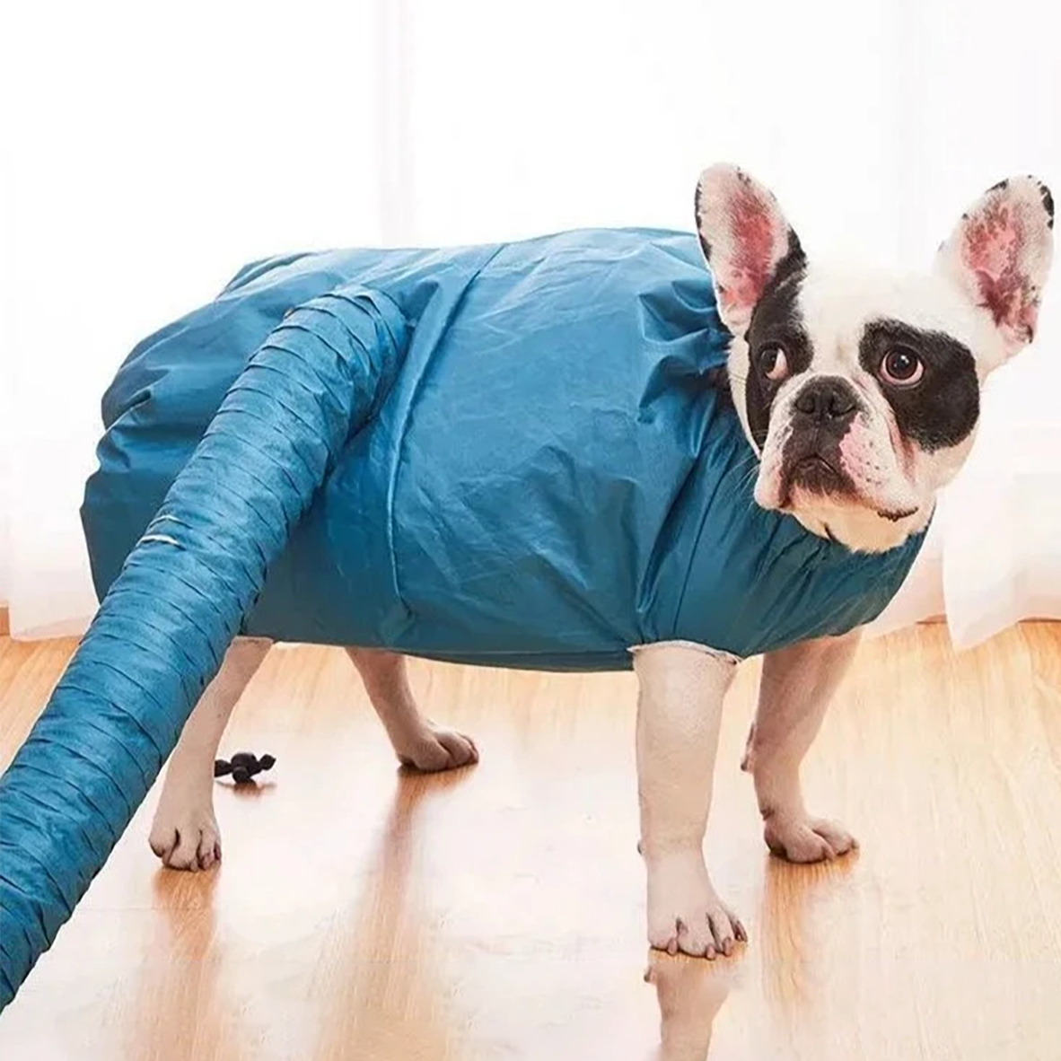 Fashion-Forward Poochdry Frenchie Drying Bag Quick And Easy Pet Dryin...