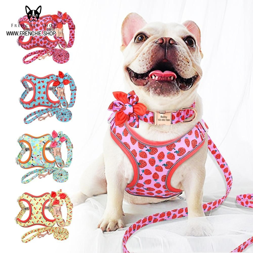 Fruit - Premium Harness For French Bulldog (w321) Paw Protection