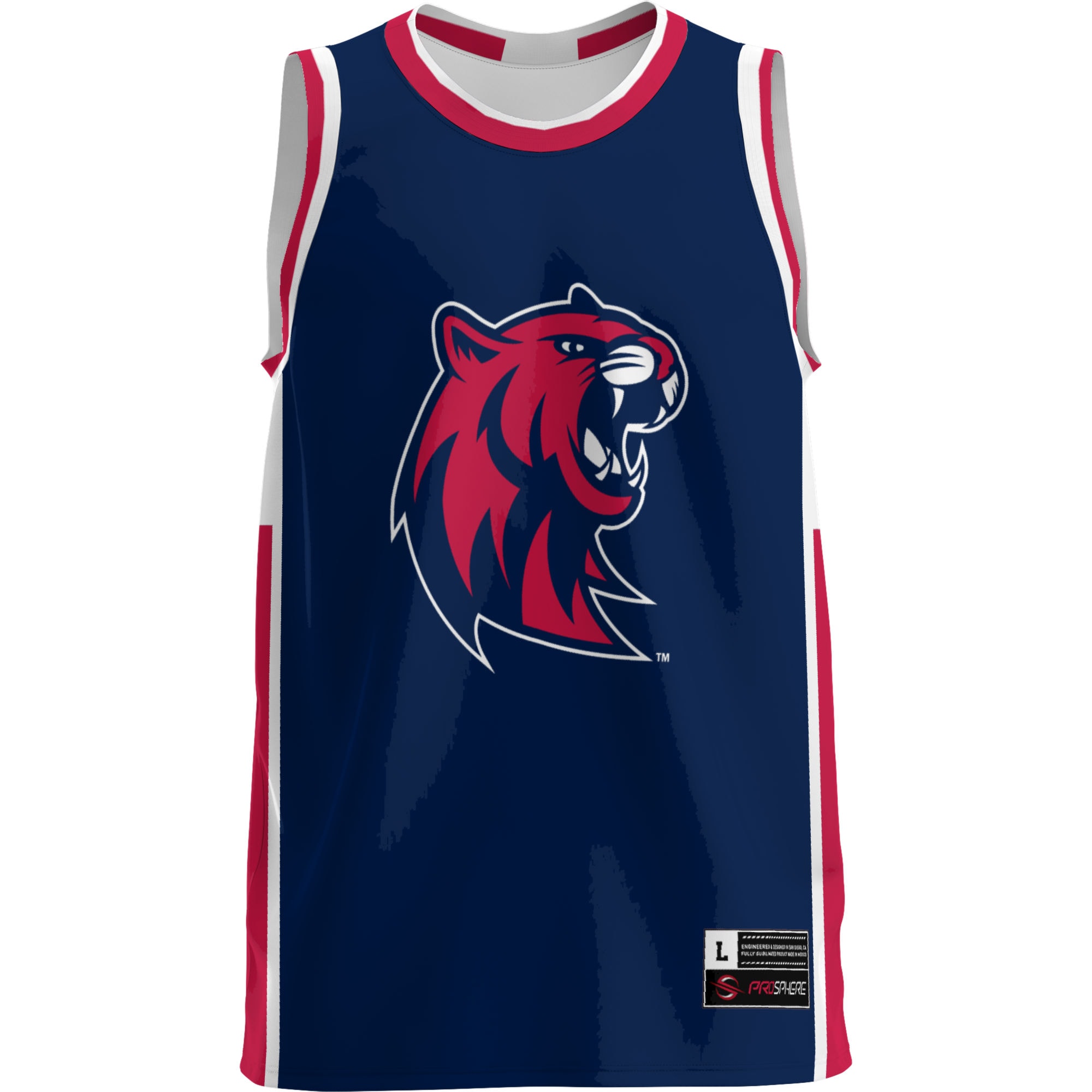[DDG] Rogers State Hillcats GameDay Greats Lightweight Basketball Jersey - Blue