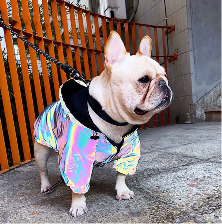 Fashion-Forward Reflective French Bulldog Jacket (ws39) as a Gift