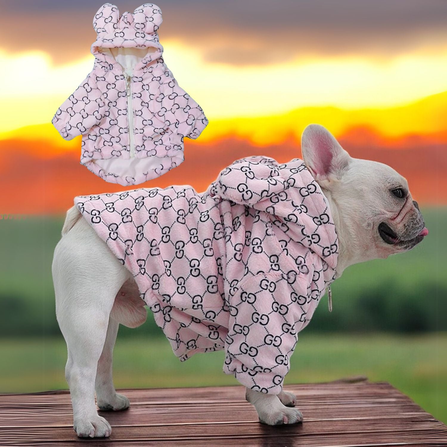 Premium Durable Premium French Bulldog Bear Hoodies for Pet Enthusiasts