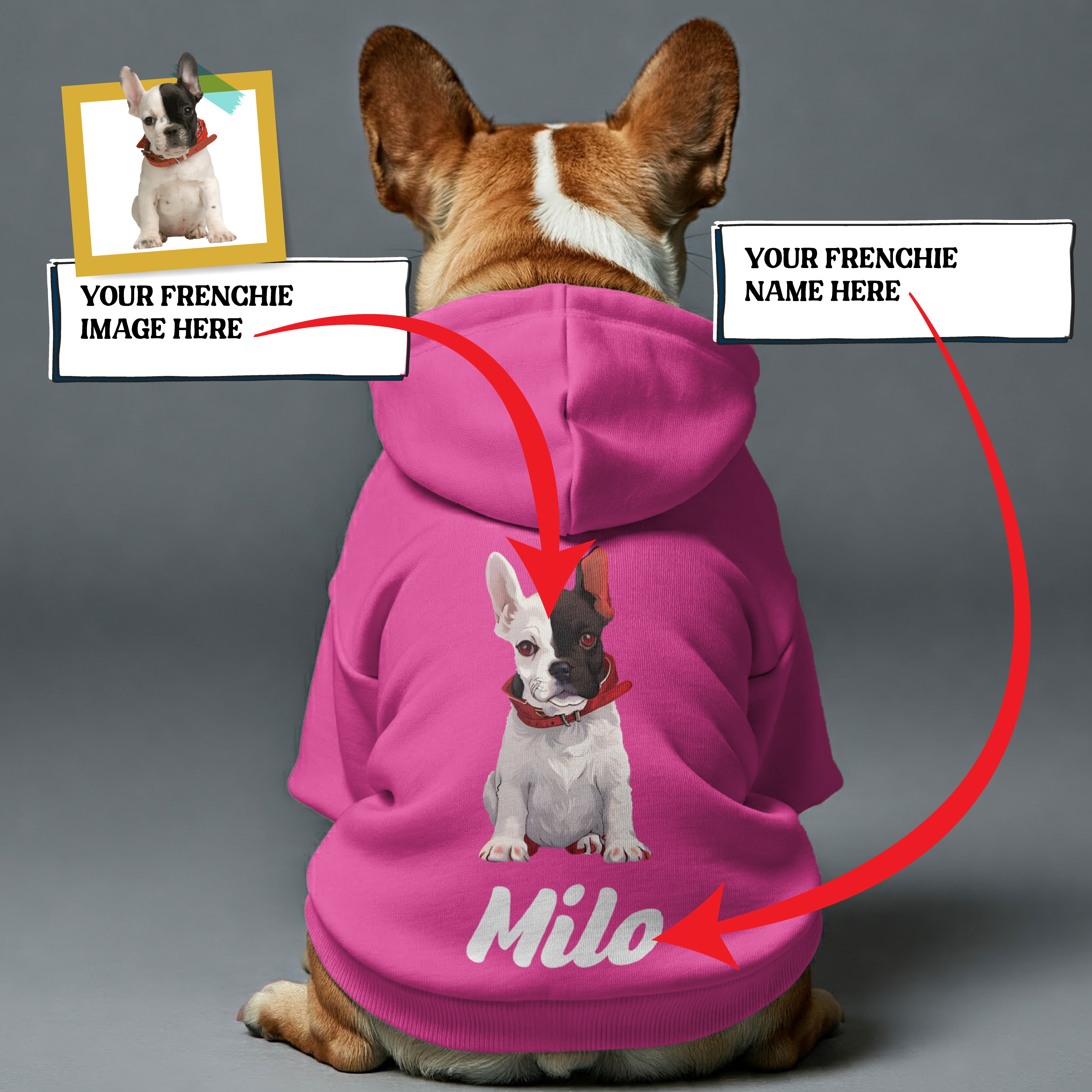 Stylish Personalized French Bulldog Hoodies With Funny Quotes, Custom...