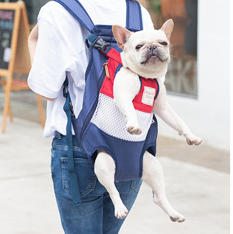 Comfortable Everyday Frenchie Backpack V4 (ws24) for Daily Life