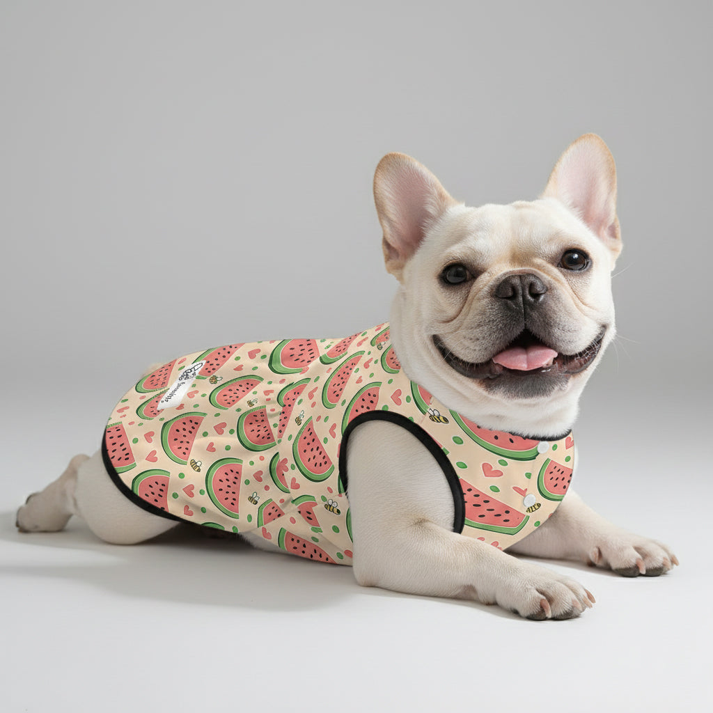 Everyday Leah - French Bulldog Dresses For Females for Dog Owners