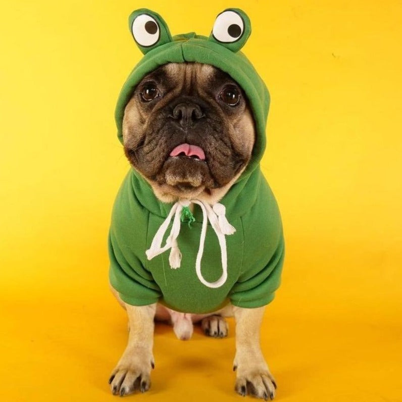 Stylish Frogy™ - Frenchie Winter Hoodie (wj13) for Fashion Lovers