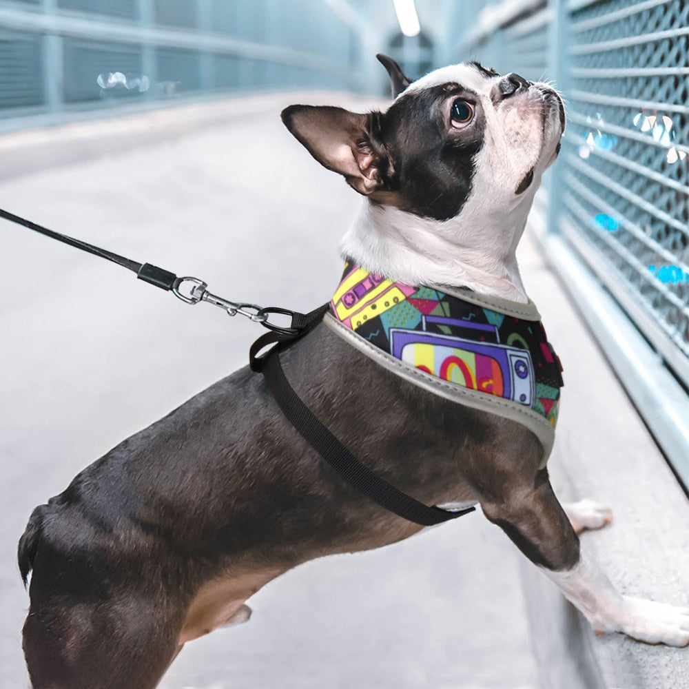 Colorful Frenchie Harness