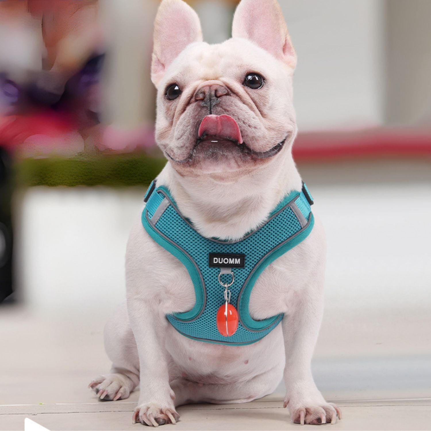 No Pull Explosion-proof Frenchie Harness Paw Protection | Safe For Paws