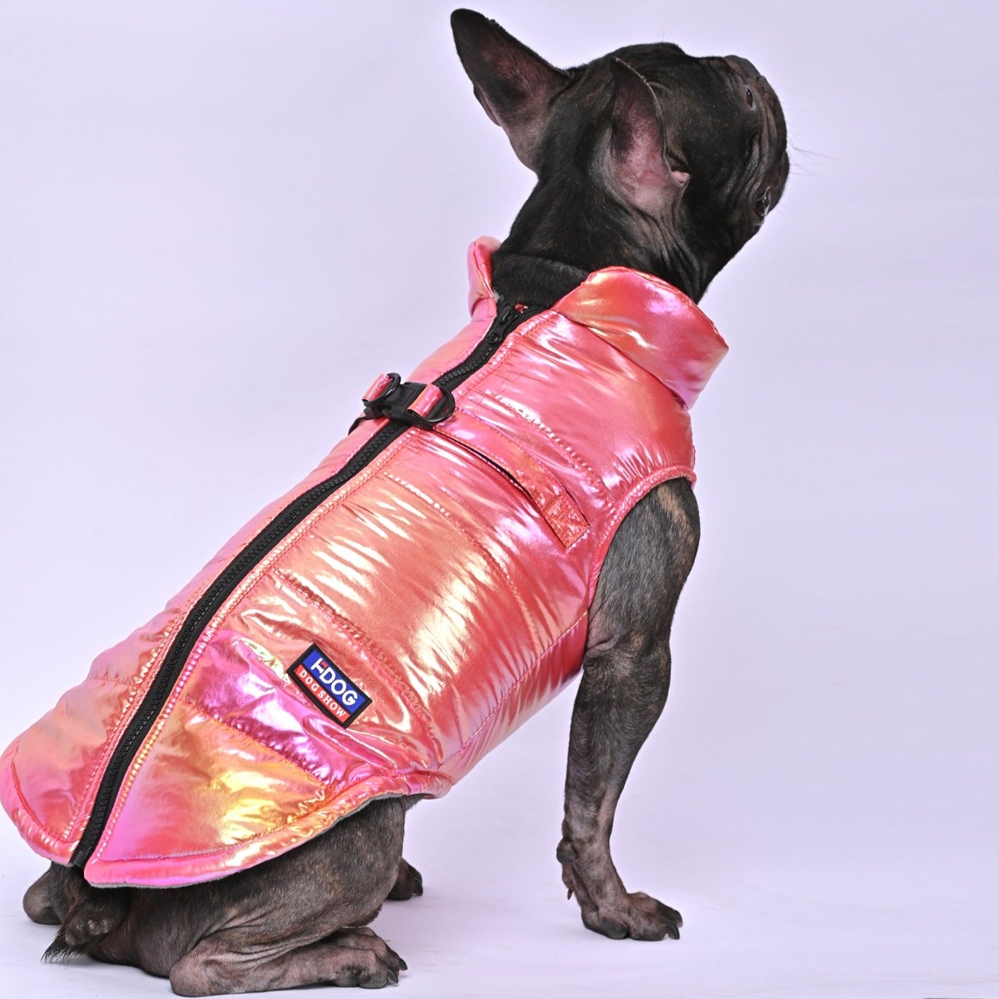 Everyday Snow Shield Frenchie Reflective Winter Warm Jacket V2 for Ca...