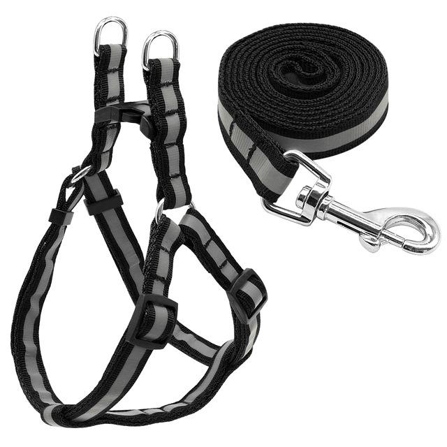 Reflective Frenchie Harness and Leash Set (WS58)