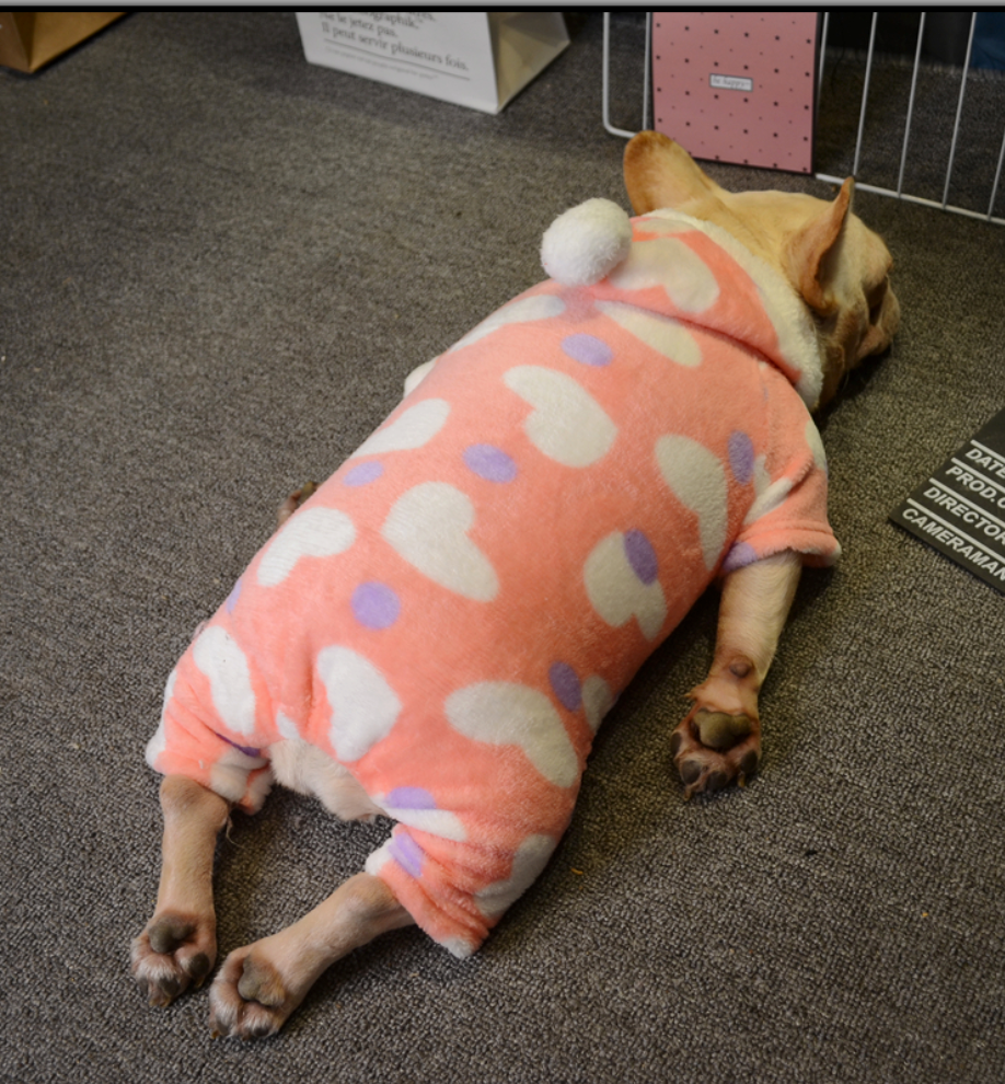 French Bulldog Stylish Frenchie Jumpsuits Cute Frenchie Essential