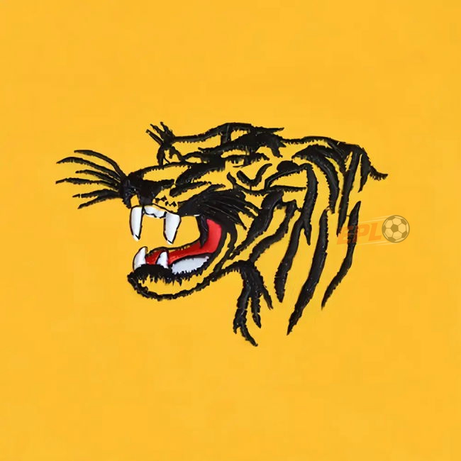 1971-19 HUL classic Third Shirt - Adults | authentic