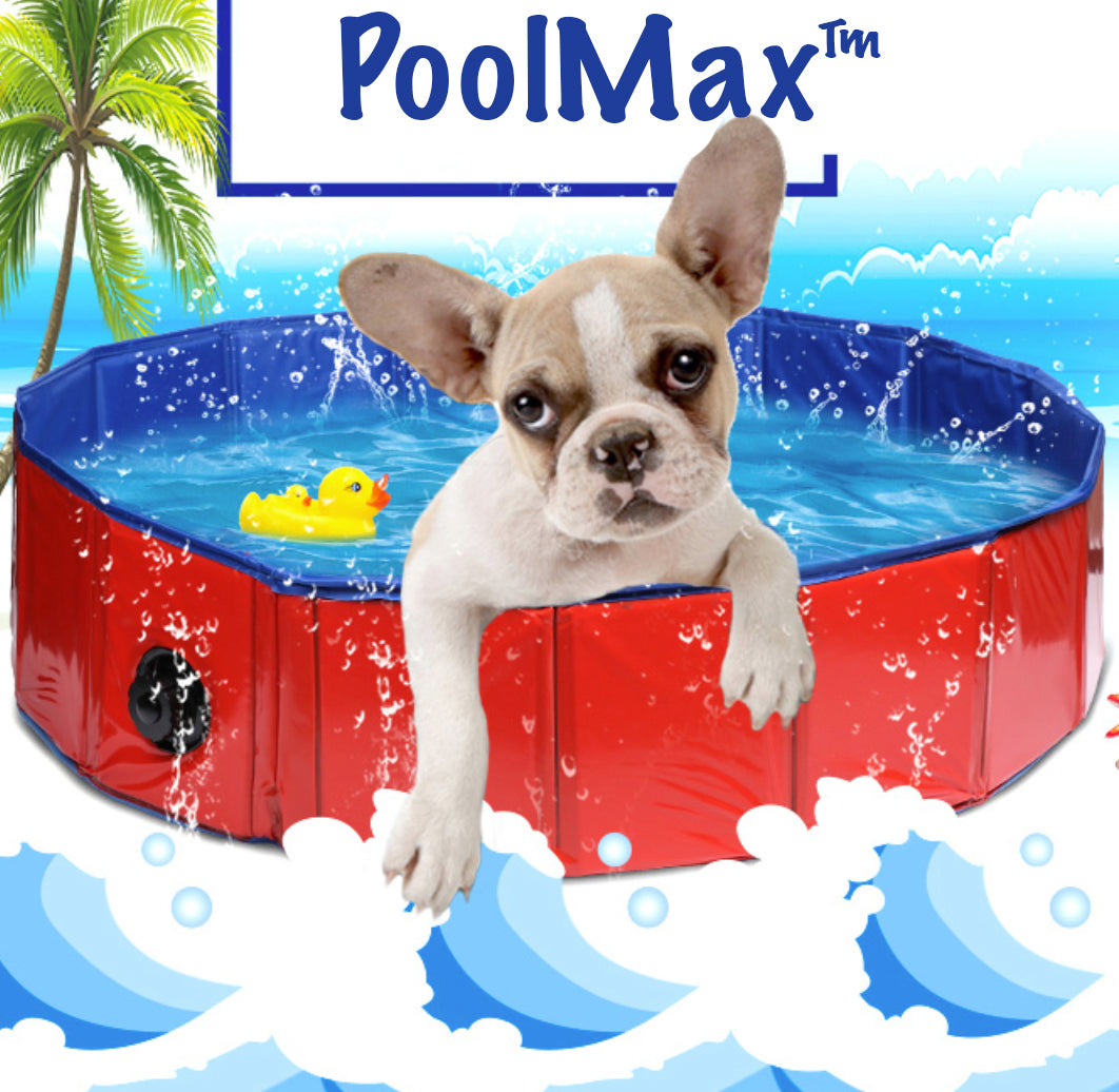 - Durable Tm : Foldable Swimming Pool For Pet (cs12) Paw Protection