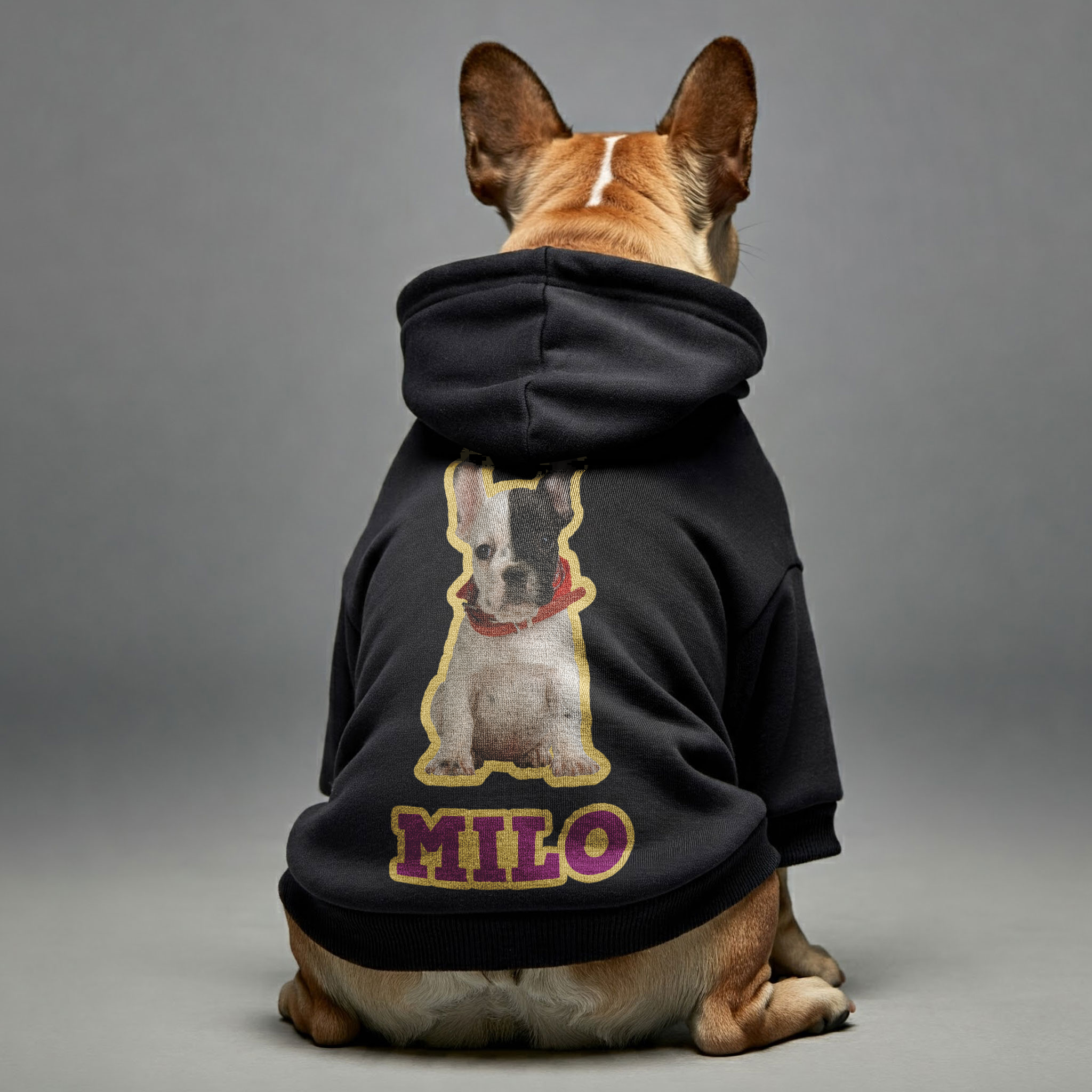 French Bulldog Personalized French Bulldog Hoodies With Funny Quotes,