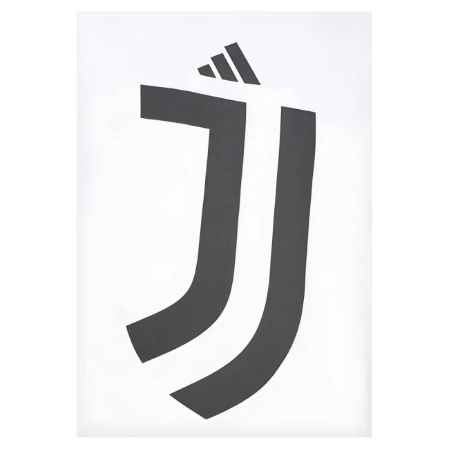 2024-2025 Juventus DNA Graphic Tee (White) (Pogba 10)