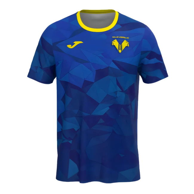 High Quality 2024-2025 Verona Shirt With Modern Design - Champions