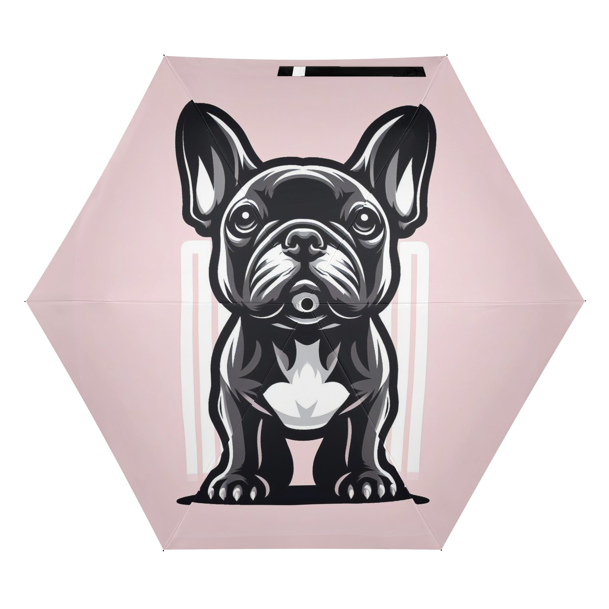 Street-Ready Pet-Lover Ivy - Umbrella for Fashion Lovers